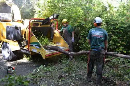 tree services Hazardville